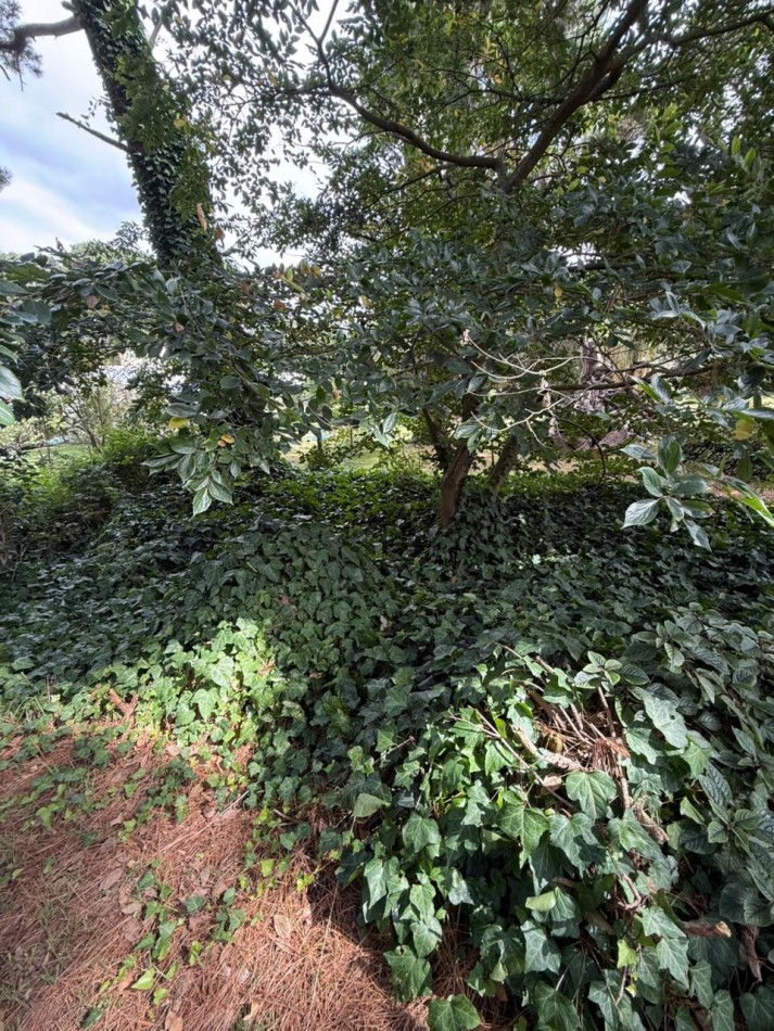 hermoso Chalet de 3 ambientes de estilo rustico