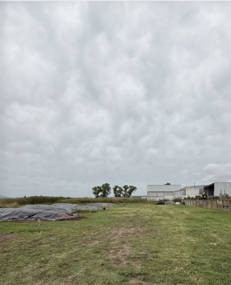 Propiedad Vende O Alquila Inmejorable Ubicacion Comercial Gran Predio Con Galpones Y Oficinas